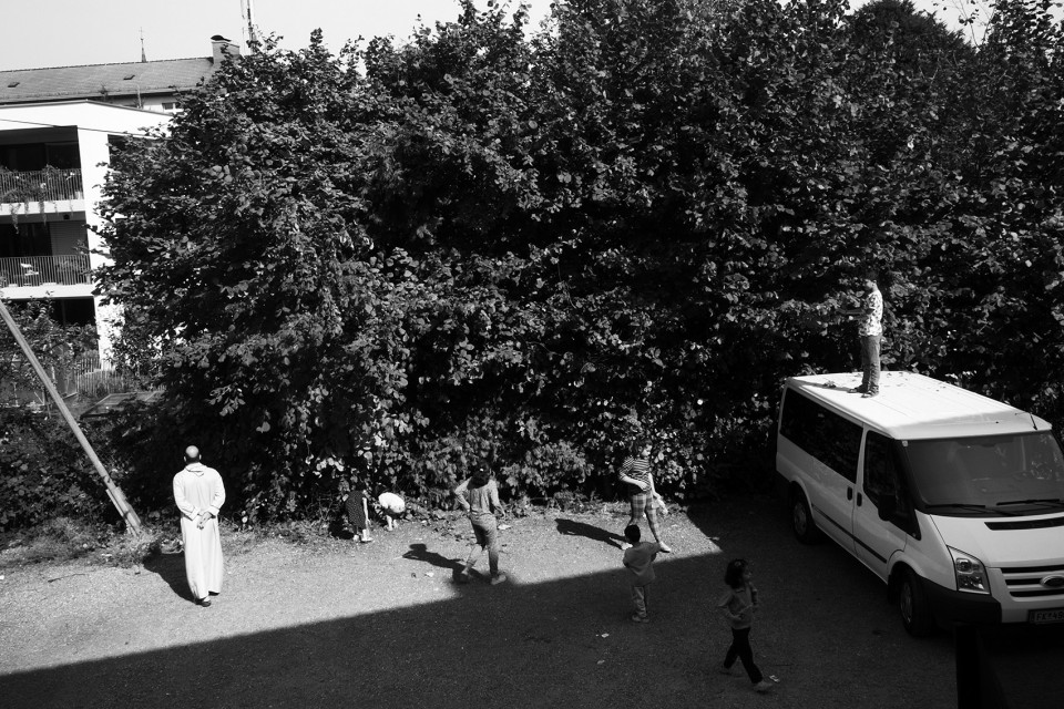 Refugees picking fruits at the asylum centre attacks, refugees, Austria, refugees, asylum centre